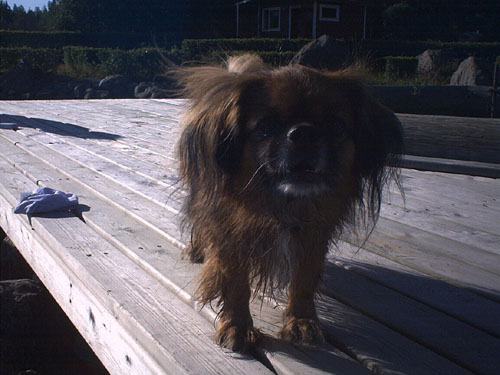 Mokilla